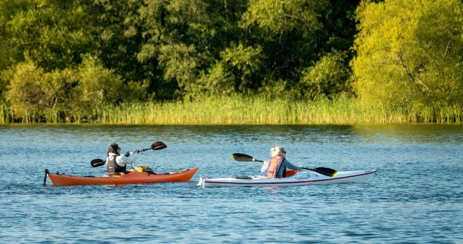 Top Fun Activities in Ventura for Family and Friends